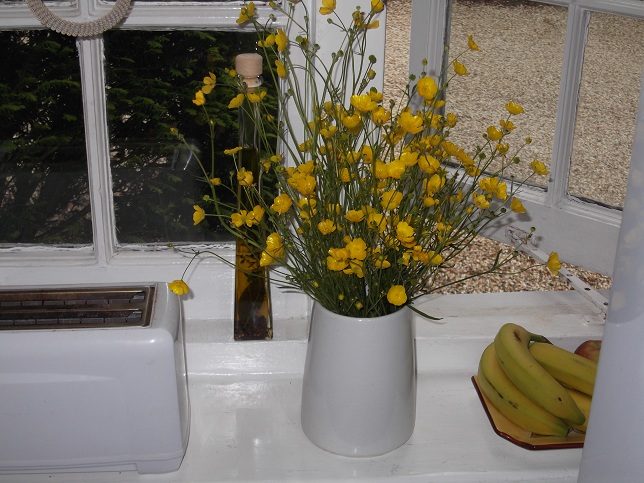 Buttercups fill a vase in the Cottage's kitchen. Buttercups fill a vase in the Cottage's kitchen.