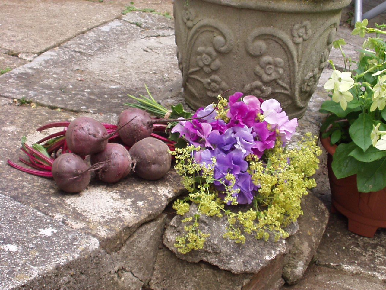 Sylvia's beetroot and sweetpeas were a hit with me...... Sylvia's beetroot and sweetpeas were a hit with me......