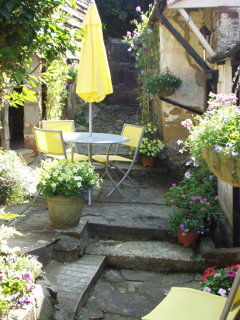 The rear of Wisteria Cottage in Dorset was tiny, but a lovely space for two and lots of flowers growing in tubs and pots The rear of Wisteria Cottage in Dorset was tiny, but a lovely space for two and lots of flowers growing in tubs and pots