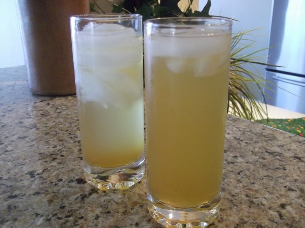 Lenny Roth's Margaritas are the best Margaritas on this planet. Lenny Roth's Margaritas are the best Margaritas on this planet