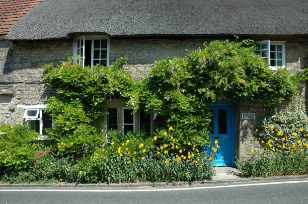 Wisteria Cottage in South Perrot, Dorset, England was a wonderful thatched cottage where Steve and I lived for a number of years. Wisteria Cottage in South Perrot, Dorset, England was a wonderful thatched cottage where Steve and I lived for a number of years.