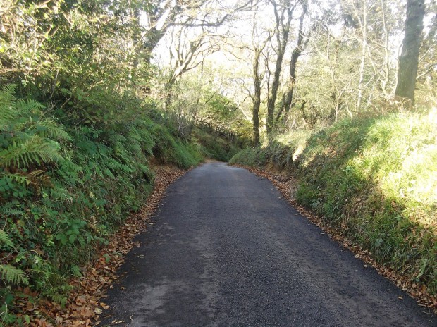 Walking down Stonebarrow Lane into Axmouth....whew!!
