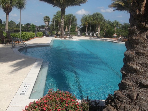 sandhill cranes and pool 012 - Copy
