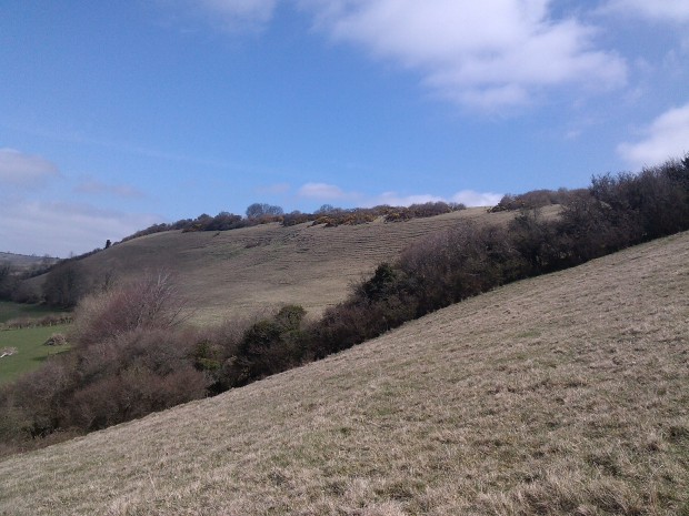 sydling walk dorset 026 - Copy