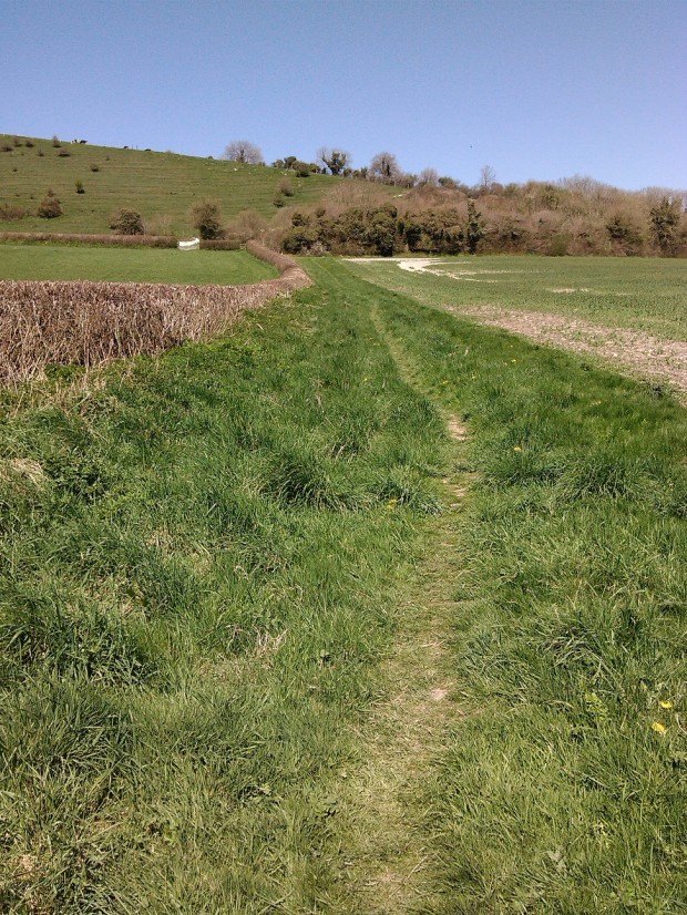 cerne abbas shop walk 047 - Copy