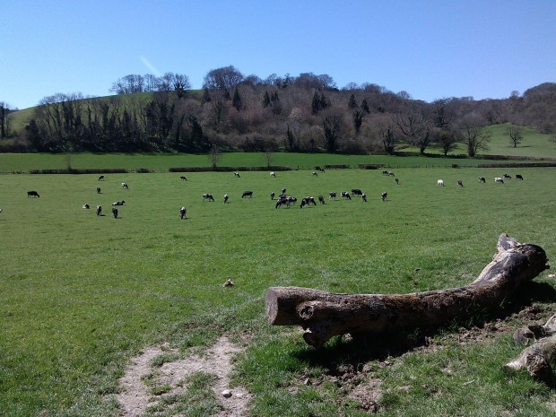 cerne abbas shop walk 094 - Copy