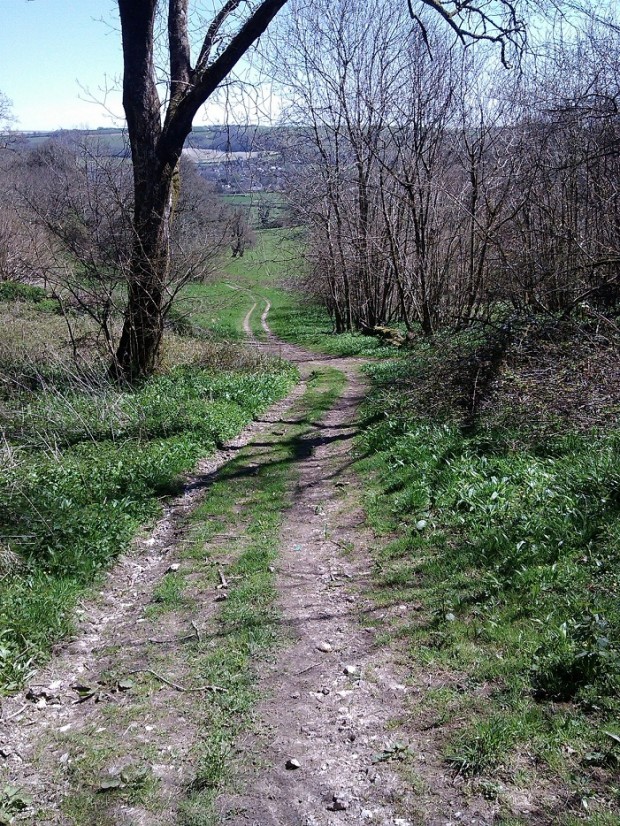 cerne abbas shop walk 151 - Copy
