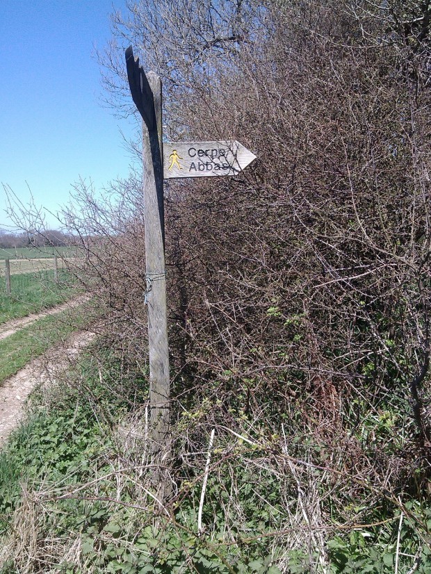 cerne abbas shop walk 187 - Copy