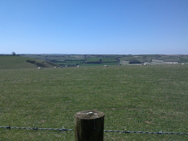 cerne abbas shop walk 243 - Copy