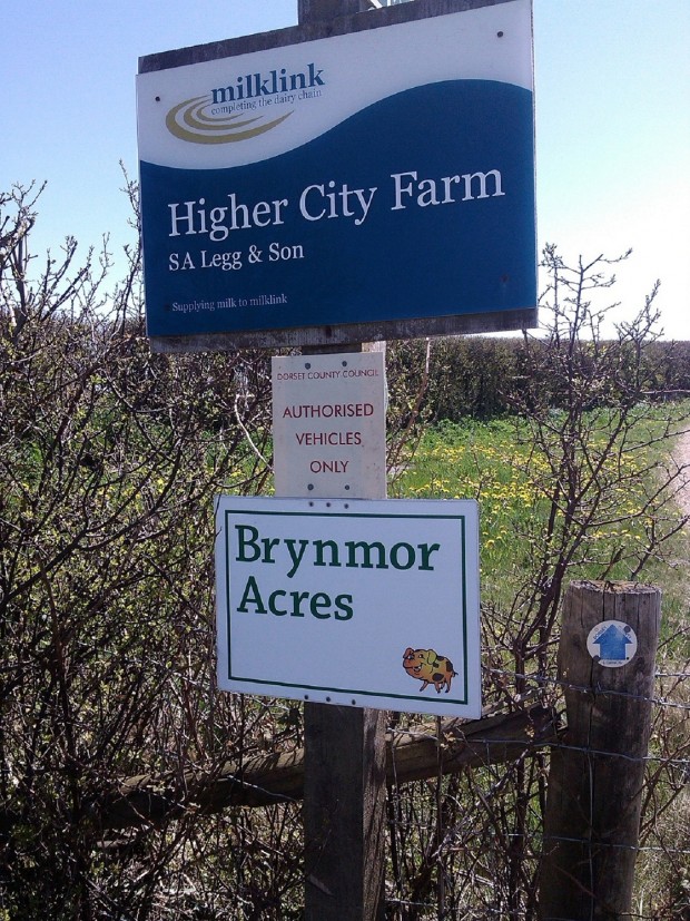 cerne abbas shop walk 265 - Copy