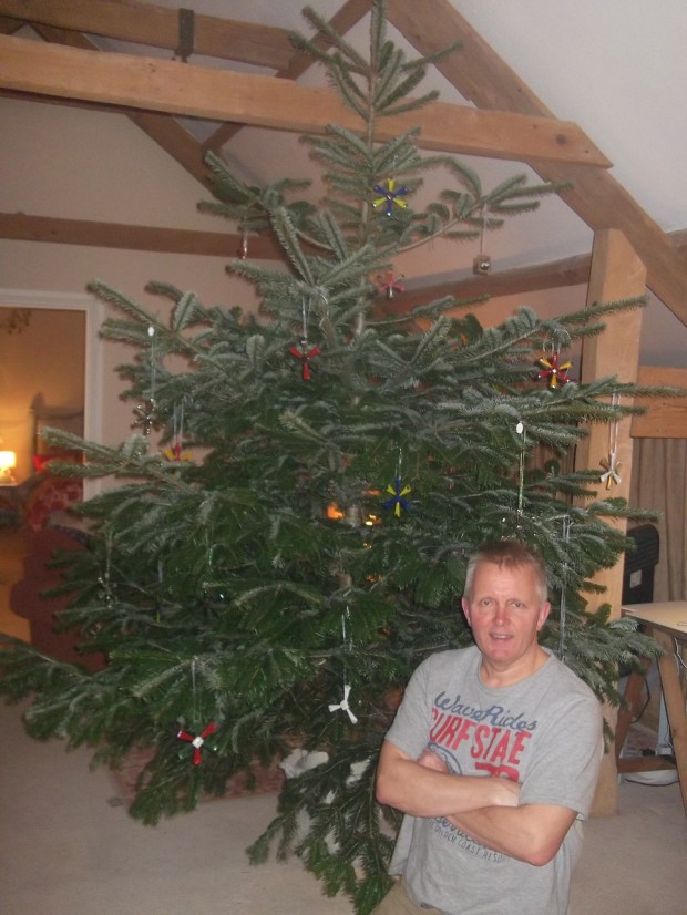 christmas tree 2013 015 - Copy