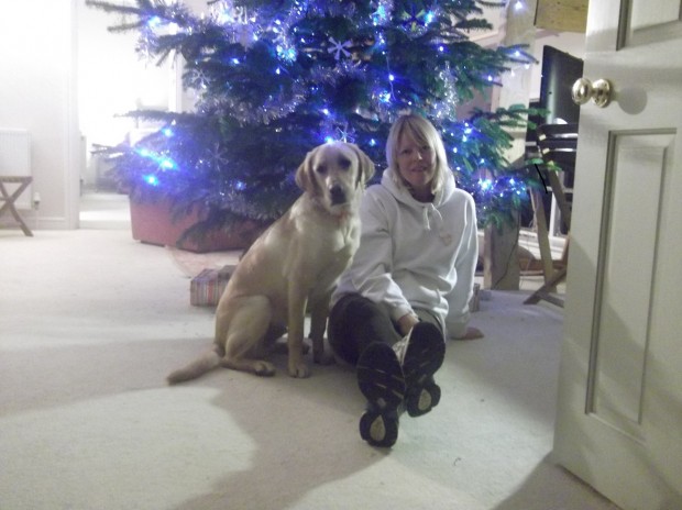 christmas tree dorset 2013 028 - Copy