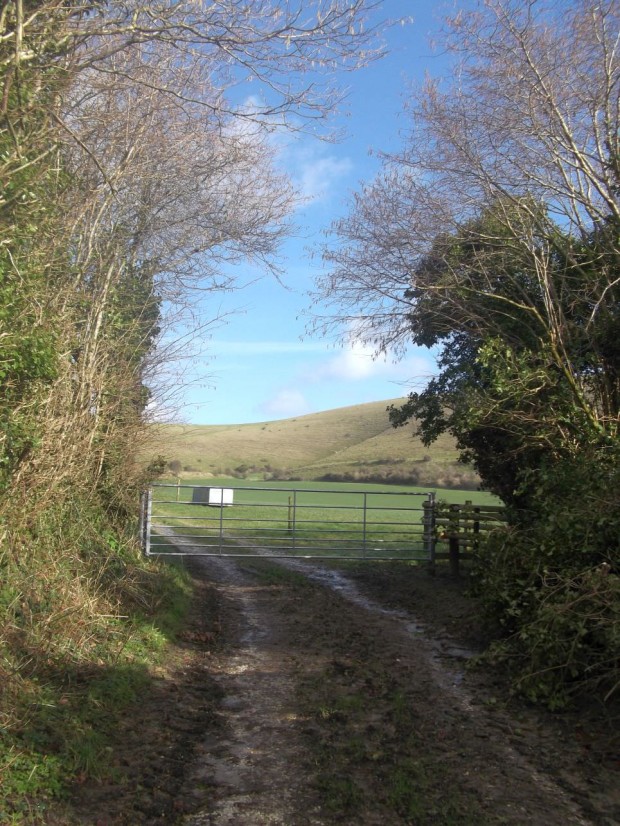 sunday walk 012