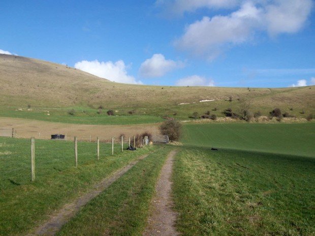 sunday walk 017