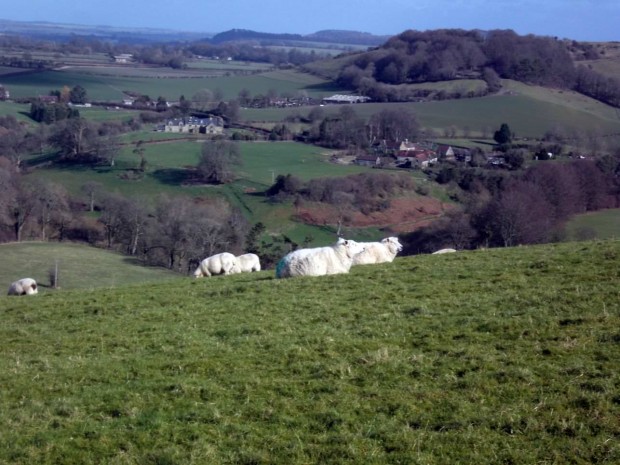 sunday walk 058